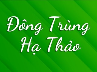 Đông Trùng Hạ Thảo