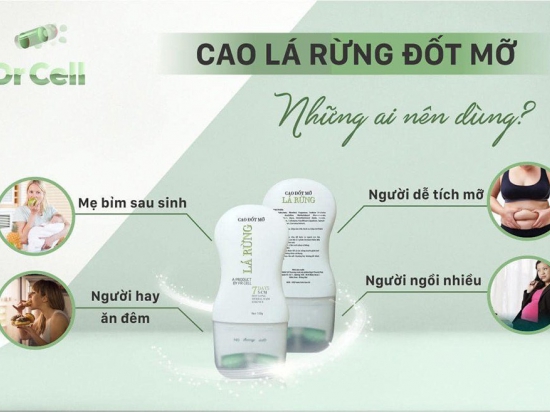 Cao Đốt Mỡ Lá Rừng