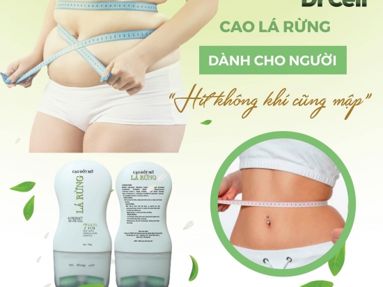 Cao Đốt Mỡ Lá Rừng